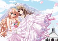 BUY NEW otome wa onee sama ni koi shiteru - 129062 Premium Anime Print Poster