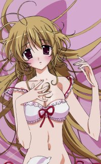 BUY NEW otome wa onee sama ni koi shiteru - 149468 Premium Anime Print Poster