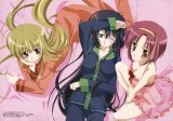 BUY NEW otome wa onee sama ni koi shiteru - 89503 Premium Anime Print Poster