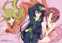 BUY NEW otome wa onee sama ni koi shiteru - 89503 Premium Anime Print Poster