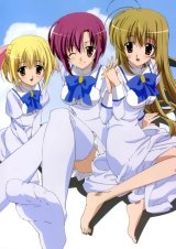 BUY NEW otome wa onee sama ni koi shiteru - 97609 Premium Anime Print Poster