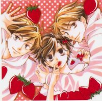 BUY NEW ouran high school host club - 104242 Premium Anime Print Poster