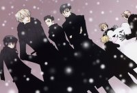 BUY NEW ouran high school host club - 108939 Premium Anime Print Poster