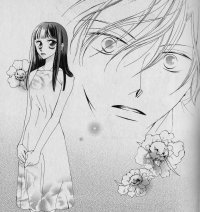 BUY NEW ouran high school host club - 136056 Premium Anime Print Poster