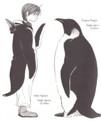 BUY NEW penguin revolution - 168000 Premium Anime Print Poster