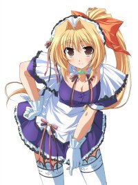 BUY NEW pia carrot - 127146 Premium Anime Print Poster