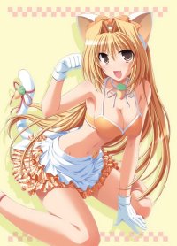 BUY NEW pia carrot - 127647 Premium Anime Print Poster