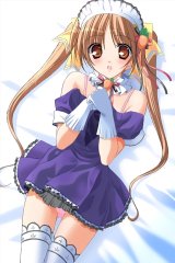 BUY NEW pia carrot - 127651 Premium Anime Print Poster