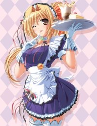 BUY NEW pia carrot - 128021 Premium Anime Print Poster
