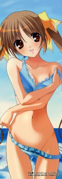 BUY NEW pia carrot - 153626 Premium Anime Print Poster