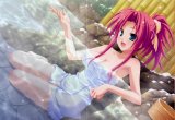 BUY NEW pia carrot - 164130 Premium Anime Print Poster