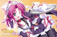 BUY NEW pia carrot - 181966 Premium Anime Print Poster