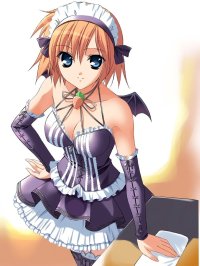 BUY NEW pia carrot - 184446 Premium Anime Print Poster