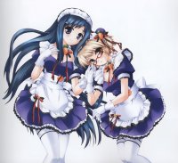 BUY NEW pia carrot - 184568 Premium Anime Print Poster