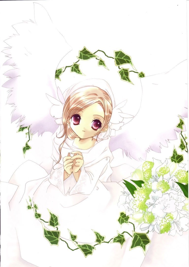 BUY NEW pita ten - 45493 Premium Anime Print Poster pita ten - 45494 image