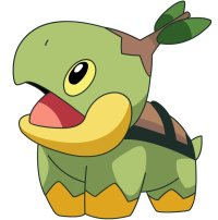 BUY NEW pokemon - 113521 Premium Anime Print Poster