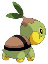 BUY NEW pokemon - 120370 Premium Anime Print Poster