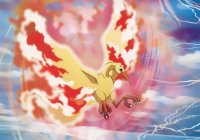 BUY NEW pokemon - 128633 Premium Anime Print Poster