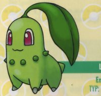 BUY NEW pokemon - 190727 Premium Anime Print Poster