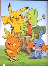 BUY NEW pokemon - 60290 Premium Anime Print Poster