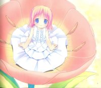BUY NEW pop - 142333 Premium Anime Print Poster