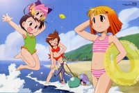 BUY NEW potemayo - 151069 Premium Anime Print Poster