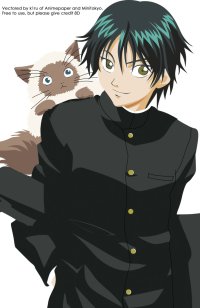 BUY NEW prince of tennis - 118885 Premium Anime Print Poster