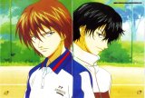 BUY NEW prince of tennis - 148182 Premium Anime Print Poster