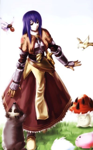 BUY NEW ragnarok online - 5903 Premium Anime Print Poster ragnarok online - 5904 image