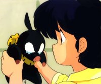BUY NEW ranma - 141657 Premium Anime Print Poster