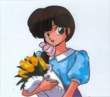 BUY NEW ranma - 151283 Premium Anime Print Poster