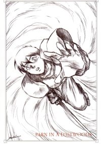 BUY NEW record of lodoss war - 40397 Premium Anime Print Poster