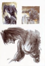 BUY NEW record of lodoss war - 41312 Premium Anime Print Poster