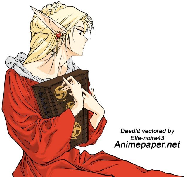 BUY NEW record of lodoss war - 72853 Premium Anime Print Poster record of lodoss war - 75440 image