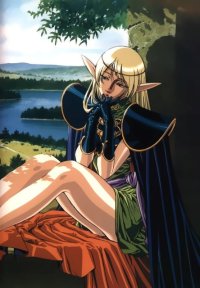 BUY NEW record of lodoss war - 9896 Premium Anime Print Poster