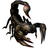 BUY NEW resident evil - 145464 Premium Anime Print Poster