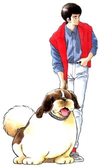 BUY NEW rough - 111695 Premium Anime Print Poster