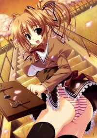 BUY NEW ryohka - 187718 Premium Anime Print Poster
