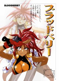 BUY NEW saber marionette - 34356 Premium Anime Print Poster