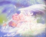 BUY NEW saikano - 64410 Premium Anime Print Poster