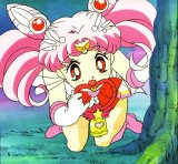 BUY NEW sailor moon - 146197 Premium Anime Print Poster
