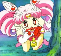 BUY NEW sailor moon - 146197 Premium Anime Print Poster