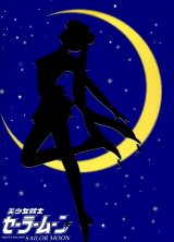 BUY NEW sailor moon - 29571 Premium Anime Print Poster