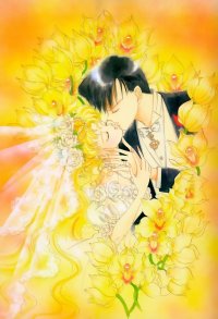 BUY NEW sailor moon - 39022 Premium Anime Print Poster