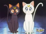 BUY NEW sailor moon - 55108 Premium Anime Print Poster
