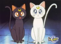 BUY NEW sailor moon - 55108 Premium Anime Print Poster