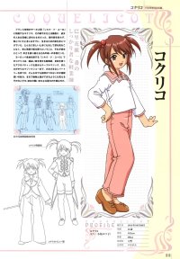 BUY NEW sakura wars - 37444 Premium Anime Print Poster