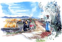 BUY NEW samurai spirits - 16626 Premium Anime Print Poster