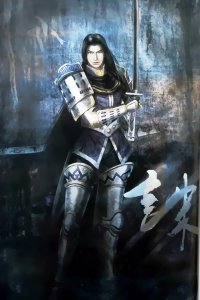 BUY NEW samurai warriors - 33855 Premium Anime Print Poster
