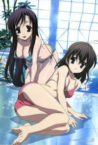 BUY NEW school days - 132798 Premium Anime Print Poster